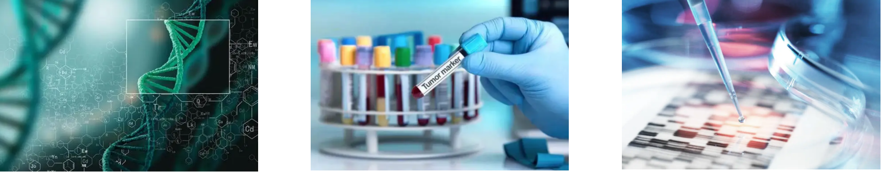 金年会(中国)官方网站入口