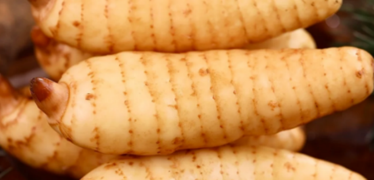 金年会(中国)官方网站入口