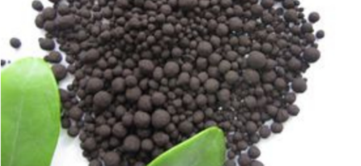 金年会(中国)官方网站入口