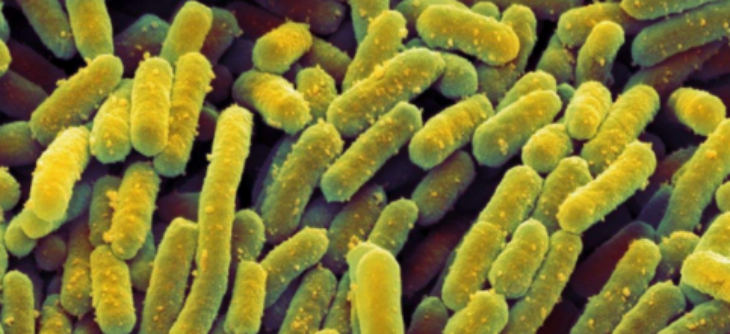 金年会(中国)官方网站入口