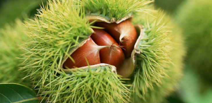 金年会(中国)官方网站入口