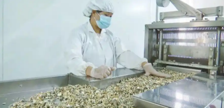 金年会(中国)官方网站入口