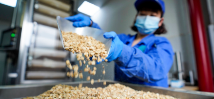 金年会(中国)官方网站入口