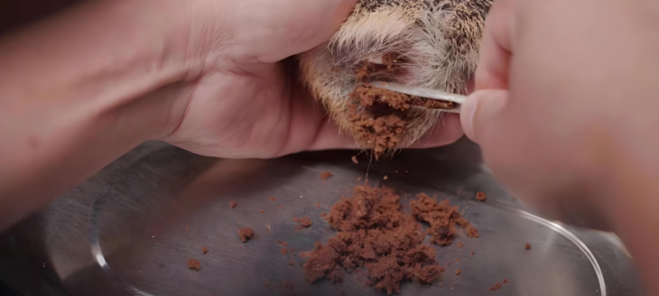 金年会(中国)官方网站入口