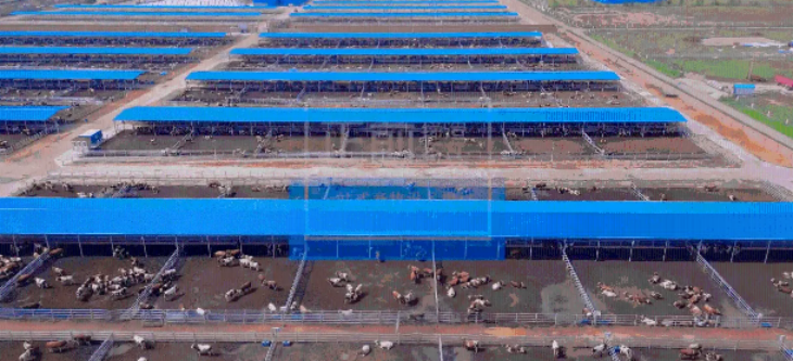 金年会(中国)官方网站入口