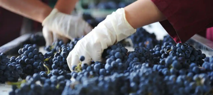 金年会(中国)官方网站入口