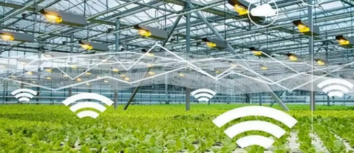 金年会(中国)官方网站入口