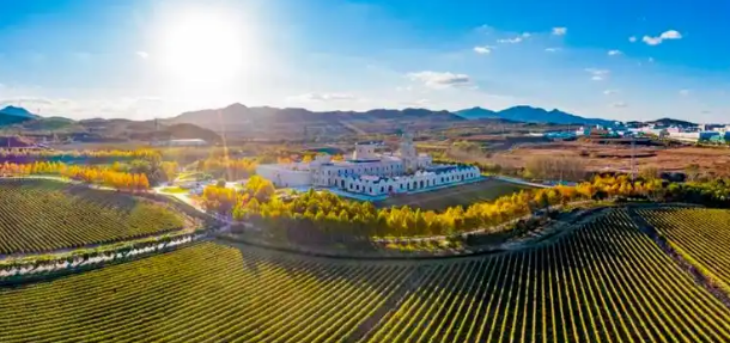 金年会(中国)官方网站入口