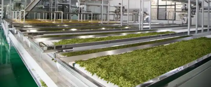 金年会(中国)官方网站入口