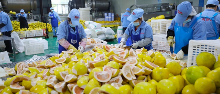 金年会(中国)官方网站入口