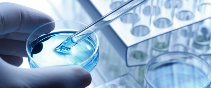 金年会(中国)官方网站入口