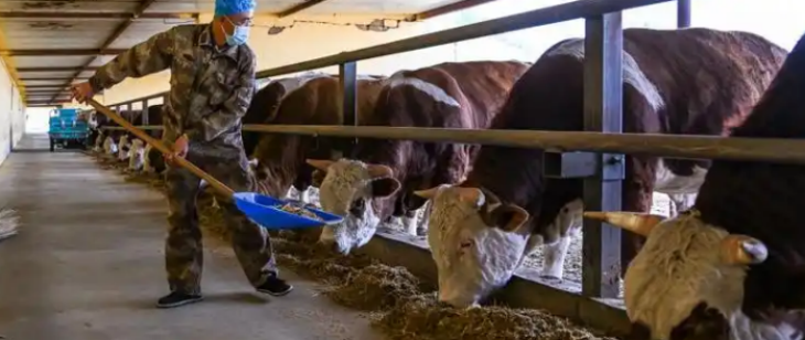 金年会(中国)官方网站入口