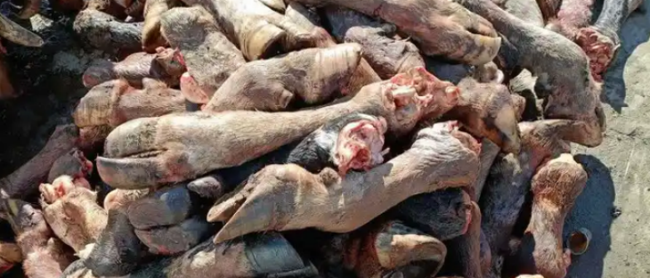 金年会(中国)官方网站入口