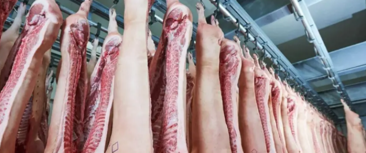 金年会(中国)官方网站入口