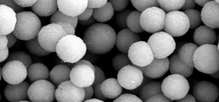 金年会(中国)官方网站入口