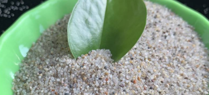 金年会(中国)官方网站入口