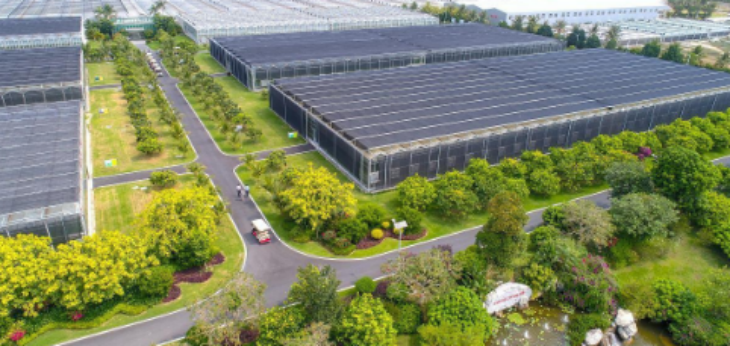 金年会(中国)官方网站入口