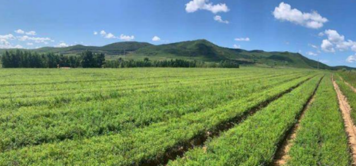 金年会(中国)官方网站入口