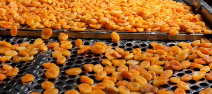 金年会(中国)官方网站入口