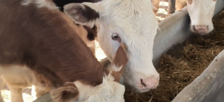 金年会(中国)官方网站入口