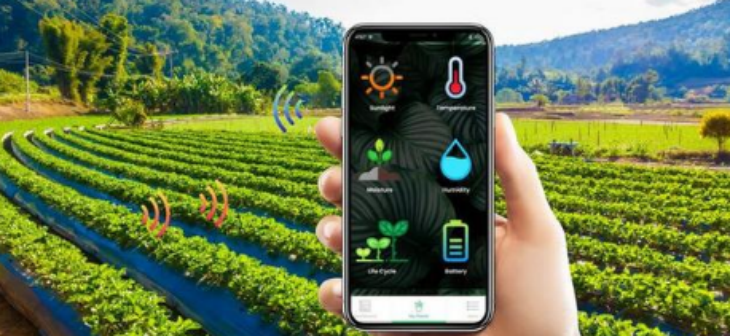 金年会(中国)官方网站入口