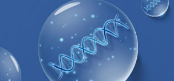 金年会(中国)官方网站入口